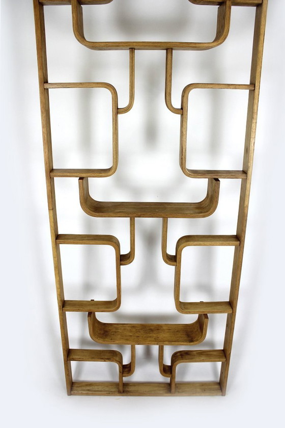 Image 1 of Mid-Century Modern Room Divider by Ludvik Volak for Drevopodnik Holesov, 1960s
