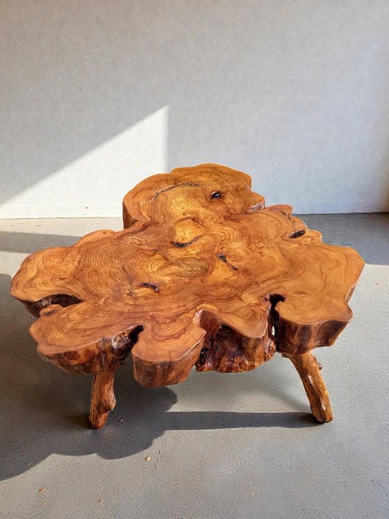 Mesa de centro de raíz de olivo en estilo brutalista. – Mesas de centro, Wood (photo 5 of 8)
