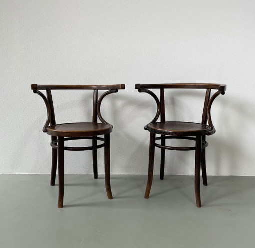 2 sedie Thonet &amp; Cosmos modello 13