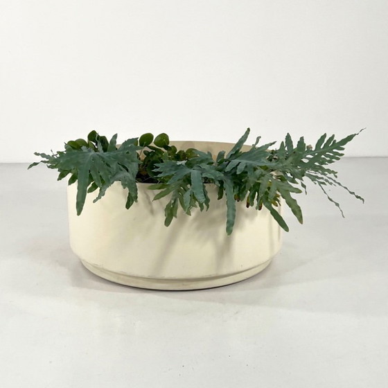 Image 1 of Extra großer Pflanzkübel auf Rädern von Anna Castelli für Kartell, 1970er Jahre