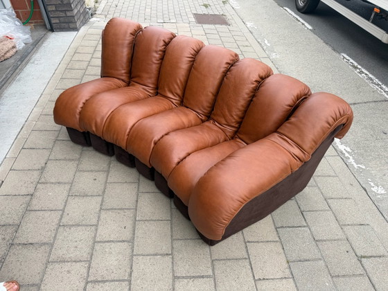 De Sede Ds600 Snake en cuir Cognac, 20 éléments, Canapés modulables, Textile, Marron (photo 14 sur 15)