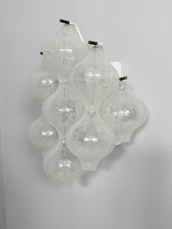 Image 1 of Ensemble de 2 appliques murales, modèle : « Tulipan 9 WA » pour KALMAR FRANKEN KG, Autriche, années 1960