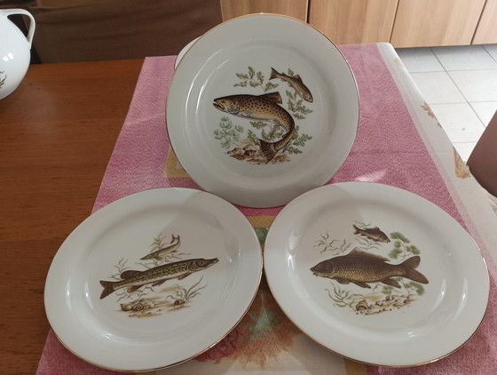 Image 1 of Vintage visservice Nieuw Johann Seltmann Vohentrauss Beieren Duitsland