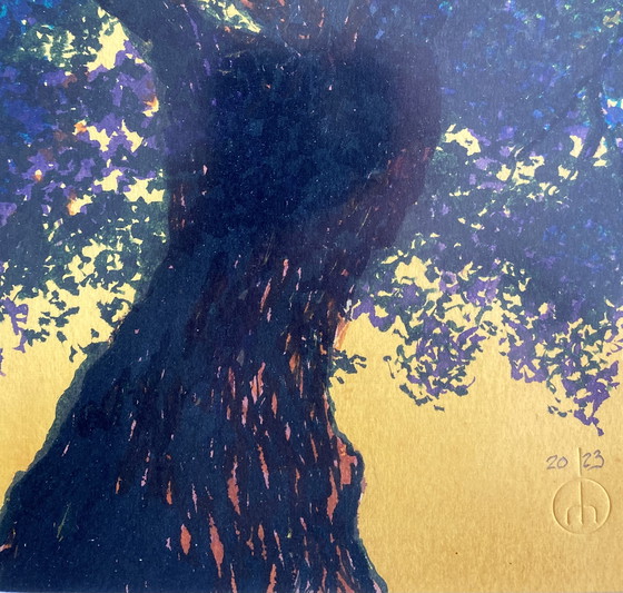 Image 1 of Eiken in betere tijden