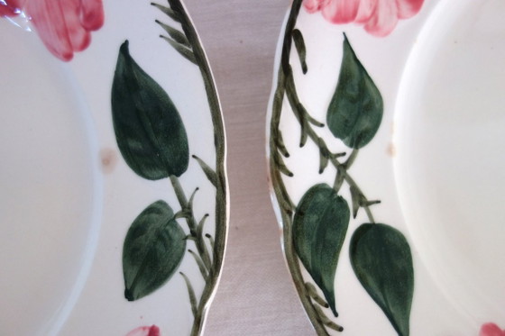 6 Villeroy & Boch „Wild Rose“ Speiseteller, 1970 – Geschirr, Porcelain (photo 8 of 9)
