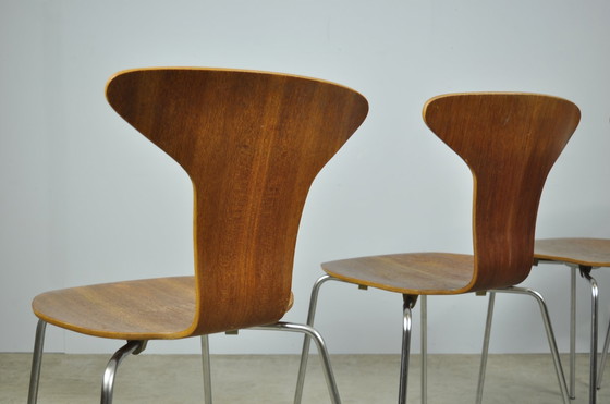 Image 1 of Fritz Hansen / Vintage Mosquito Dining Chairs / Arne Jacobsen / 1960S Denmark