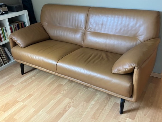 Brown leather 2.5-seater sofa by Leolux model Bora Balanza, 2 seaters, Metal, Modern (photo 2 of 5)