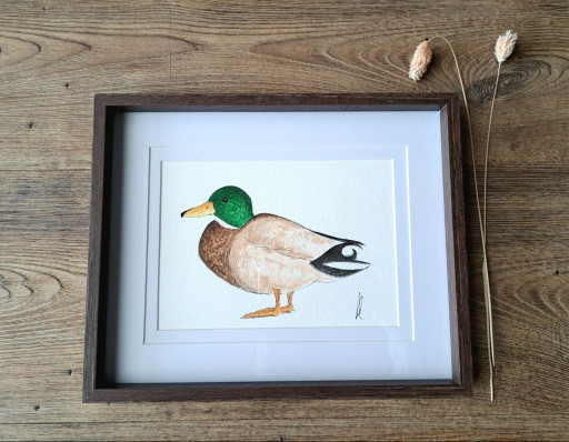 Peinture aquarelle canard, cane | Originale avec cadre