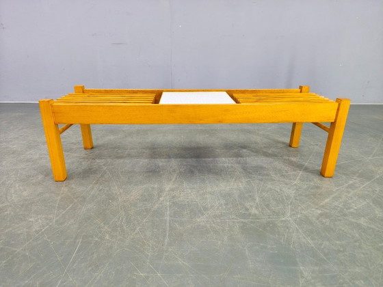 Image 1 of Soporte y estante para plantas checoslovaco de mediados de siglo, década de 1970.