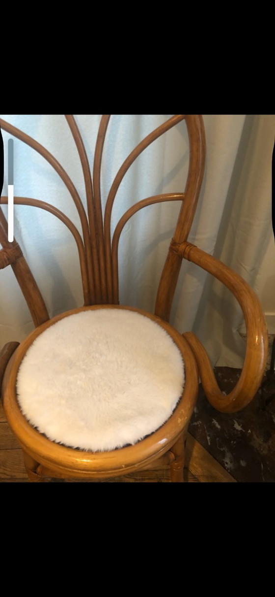 Image 1 of Sedia/poltrona in vimini e rattan