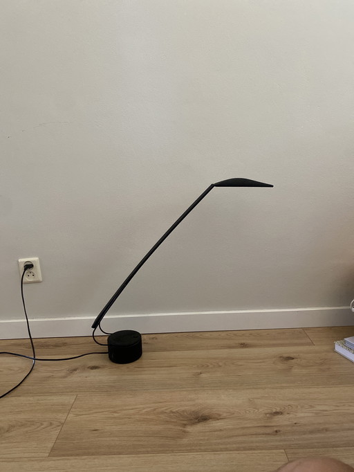 Studio Paf Dove lamp