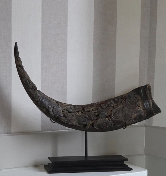 Image 1 of Grote, fijn bewerkte buffelhoorn (ref. 4119)