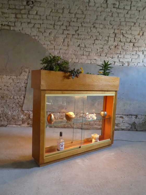 Verlichte plantenbak vitrine uit de jaren 50 – Glas, Vintage (photo 10 of 13)