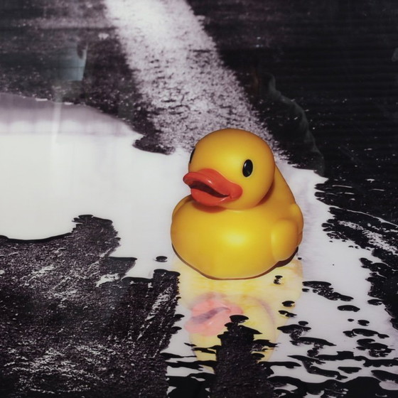 Image 1 of Ivana Vostrakova – “Spring Swimming” Digital Artwork, 2013