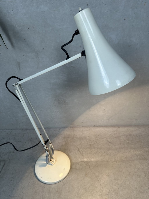 Vintage desk lamp - Anglepoise