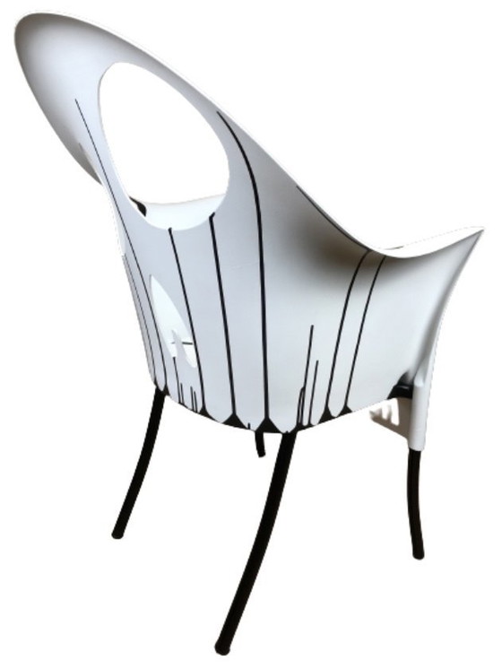 Image 1 of Seigneur Yo Manuel Fantastique