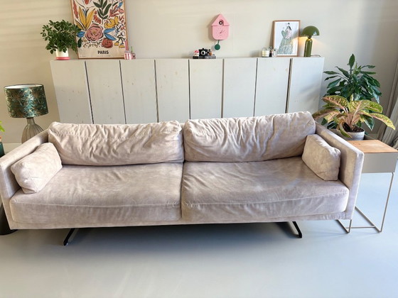 Divano Fest Amsterdam miller 3,5 posti, Divani 3 posti, Altro, Beige (foto 2 di 6)