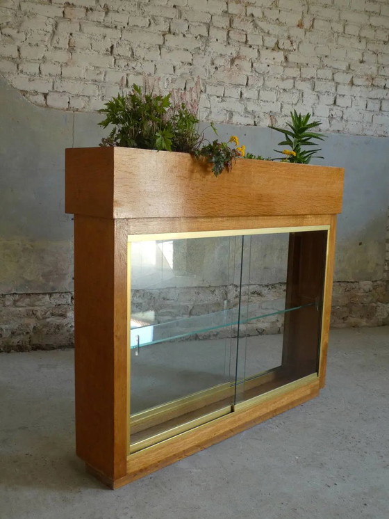 Verlichte plantenbak vitrine uit de jaren 50 – Glas, Vintage (photo 3 of 13)