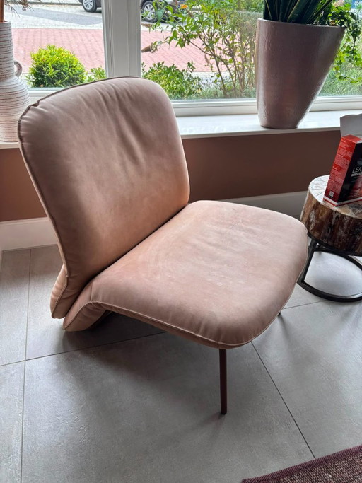 Armchair - Jess Design model Clip