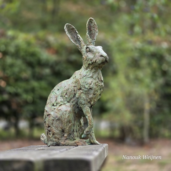 Bronze Sculpture Hare – Nanouk Weijnen (photo 5 of 5)