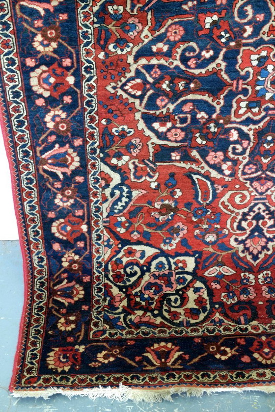 Image 1 of Beautiful Bachtiar from Iran