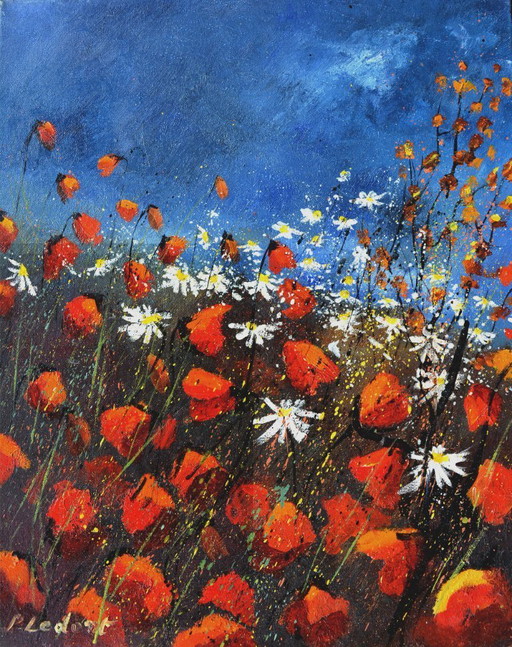 Coquelicots rouges