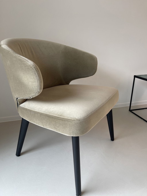 Poltrona Minotti Aston