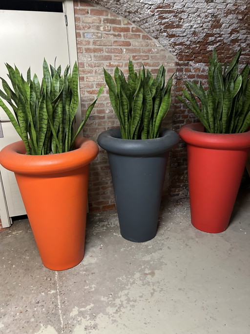 3 Xxxl Plantenbakken