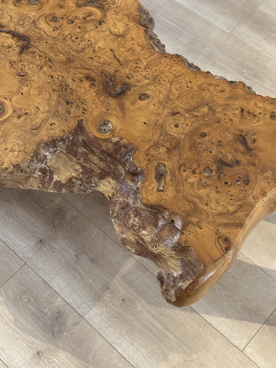 Image 1 of Vintage Wabi Sabi Root Wood Coffee Table Tree Trunk