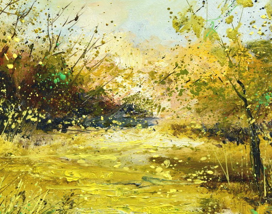 Image 1 of Marshes
