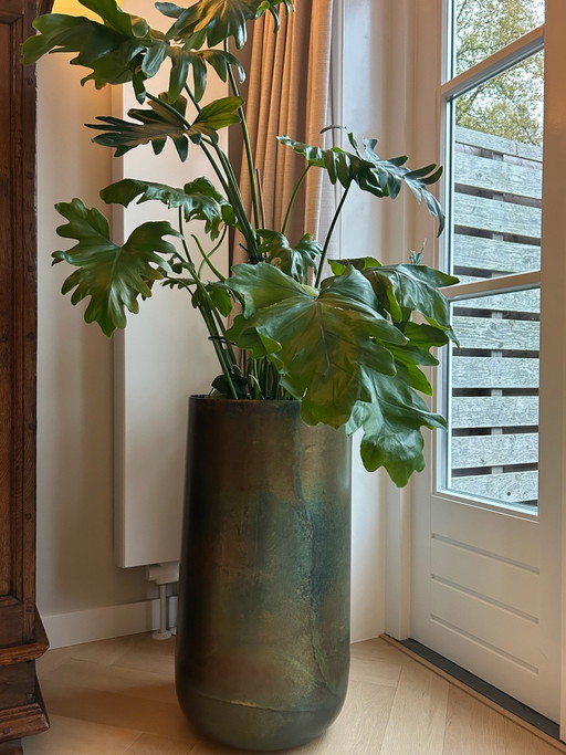 Beautiful large metal Plant pot 70cm with Philodendron plant