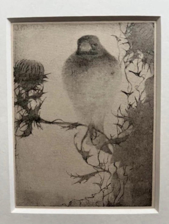 Image 1 of Jan Mankes 1889-1920 / Heliograbado original Jilguero en rama 1923