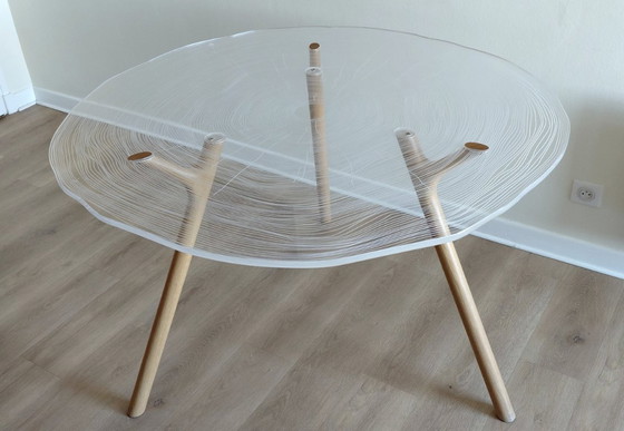 Image 1 of Table de repas Collection PLEXIWOOD – Chêne - rochebobois Paris