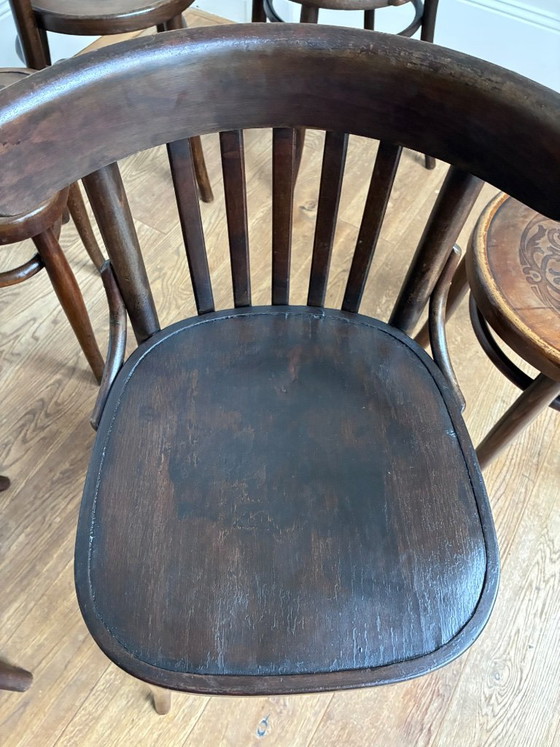 set of 6 mix-match Thonet style chairs – Dining chairs, Wood (photo 12 of 17)