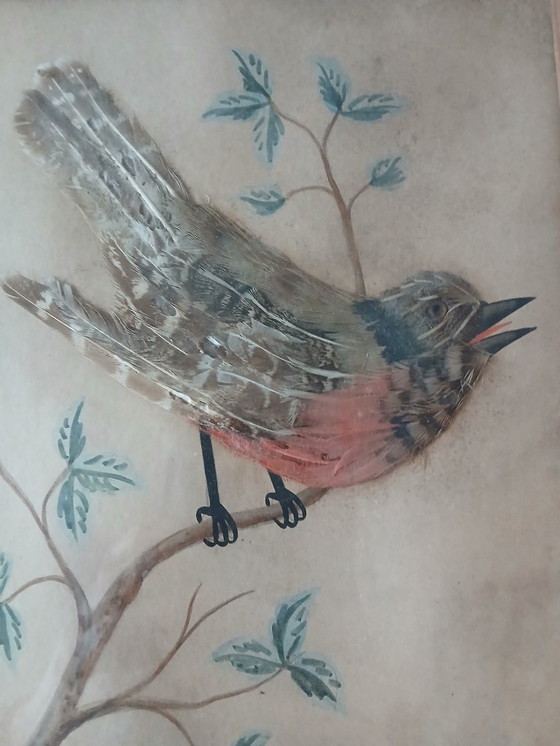 Image 1 of Antiek vogelveer-schilderij