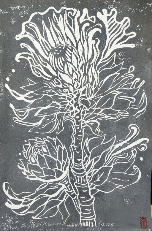 Protea Linocut - A3 Botanical Art Print