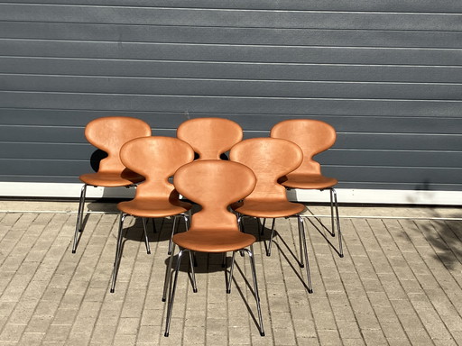 Fritz Hansen Ant (mier) chairs in Cognac leder NIEUW!!