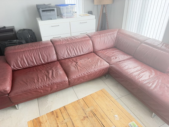 Divano Natuzzi – Divani angolari, Leather, Metal (photo 6 of 7)