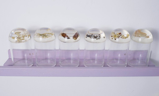 French Plexiglas Vintage Spice Container Jars – Set of 6 Preserved Herb Cylinders