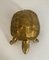 Brass Turtle Sculpture – beeldhouwkunst (photo 2 of 9)