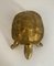 Messing schildpadsculptuur – Beeldhouwkunst, Brass (photo 2 of 9)