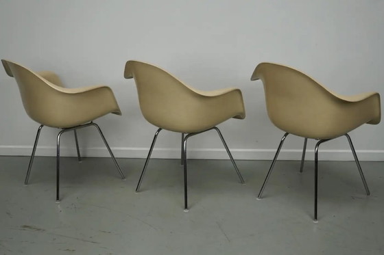 Image 1 of Set di tre poltrone DAX in fibra di vetro color pergamena, Eames per Herman Miller / Vitra