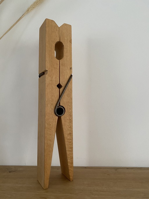 Eyecatcher - reuzen wasknijper - stoer