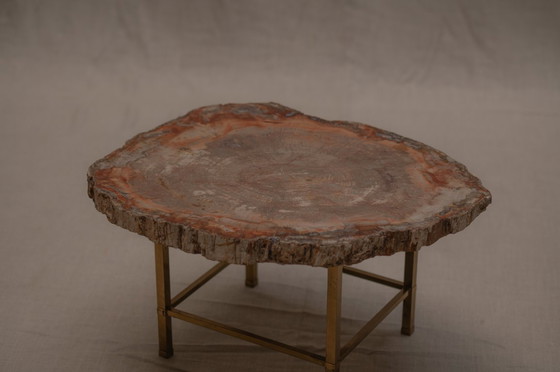 Image 1 of Table basse rare en bois pétrifié - années 1970