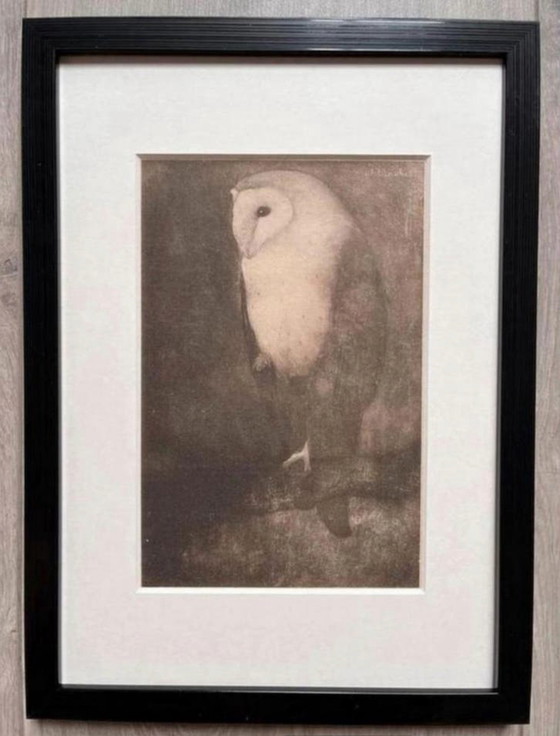 Image 1 of Jan Mankes 1889-1920 / Heliograbado original de un búho en la rama de un árbol, 1923