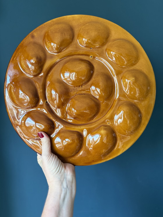 Image 1 of St.Clement XL vintage oesterschaal bruin