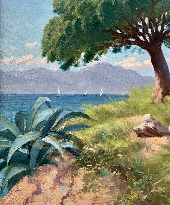 Antico Dipinto a Olio Cannes La Bocca 1909 – Tom Evans – Dipinti e disegni, Legno, Altro (photo 4 of 10)
