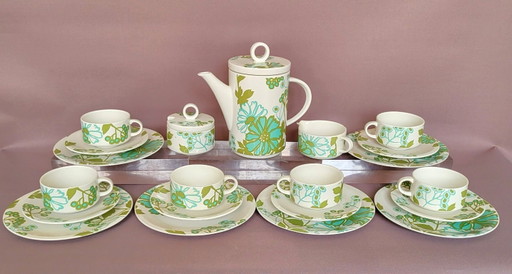 Villeroy & Boch SCARLETT service in perfect condition