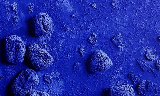 Yves Klein Blauw Spons Reliëf RE 19 1958 - Poster 50×70 cm – Paper (photo 10 of 11)