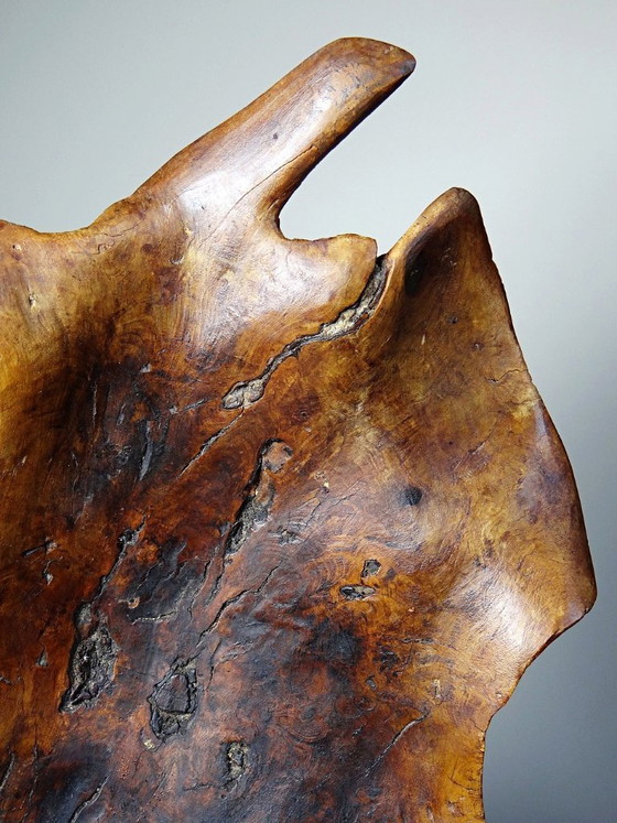 Image 1 of Grande coupe monoxyle en bois brut d'olivier foncé années 50